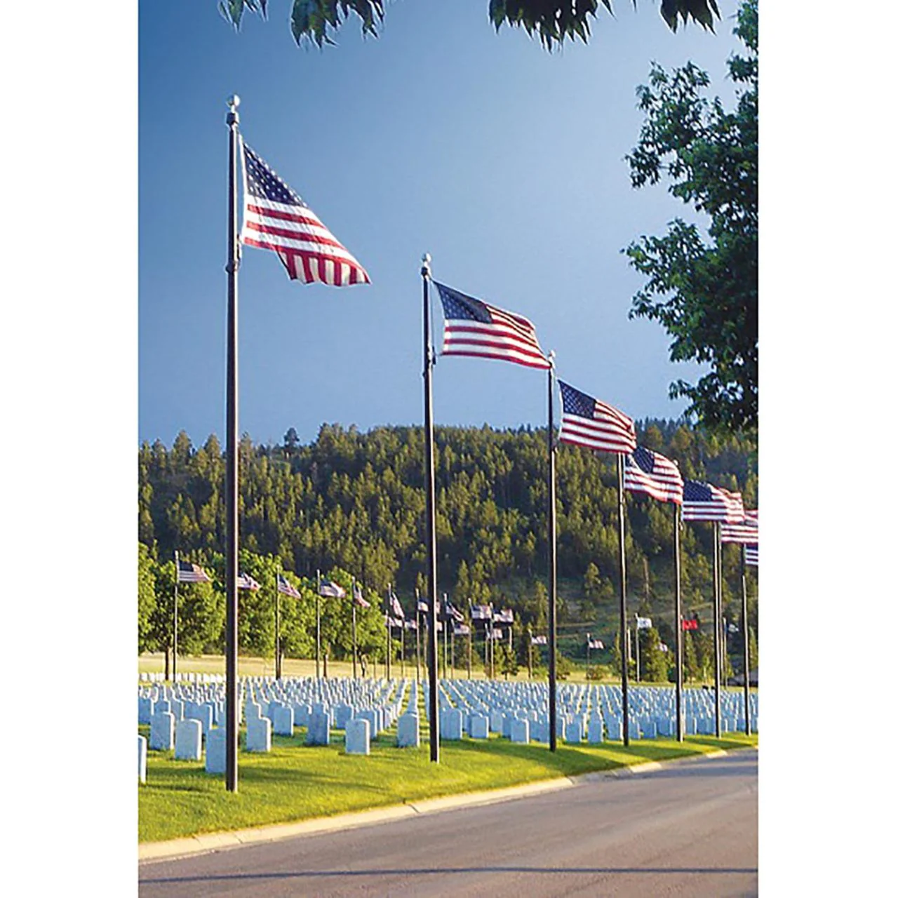 25' Sentry II Series Commercial Flagpole - IRC25C61 - Image 5